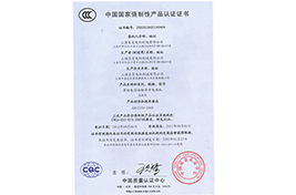 中國國家強制性產(chǎn)品認證證書(shū)1